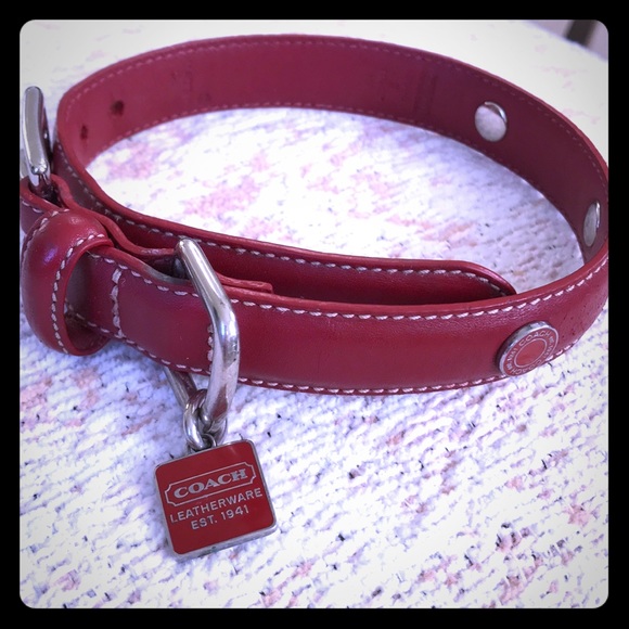 Coach dog collar and leash set Clearance